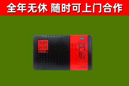 屯昌回收阿胶